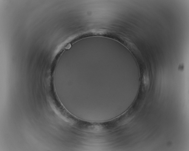 X0000112910492200909071538