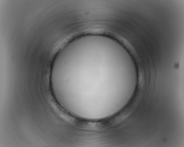 X0000112910493200909071538