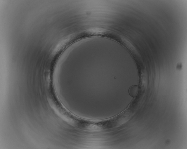 X0000112910494200909071538