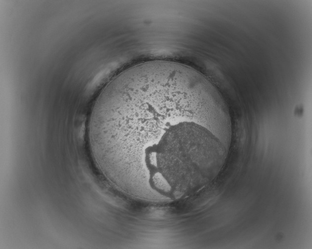 X0000112910495200909071538