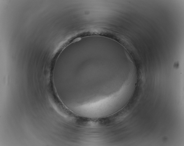 X0000112910496200909071538