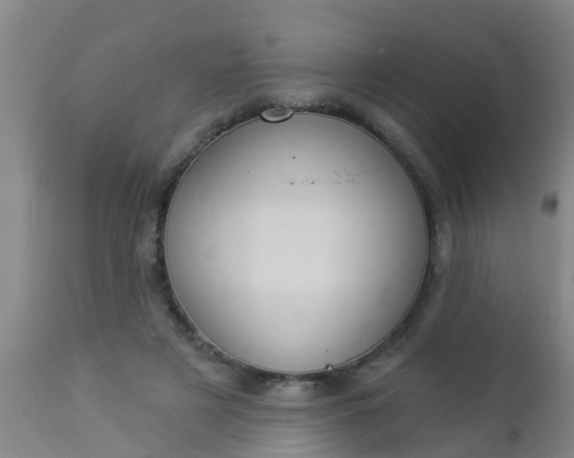 X0000112910497200909071538