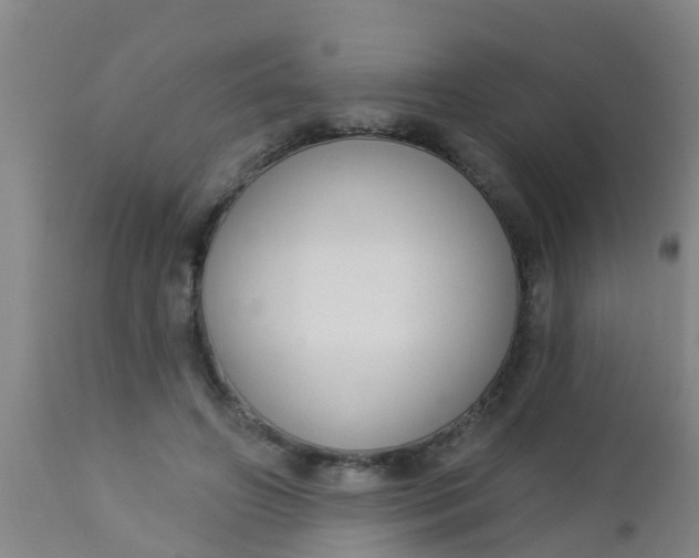 X0000112910498200909071538