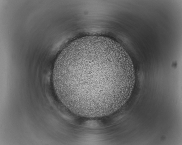 X0000112910499200909071538