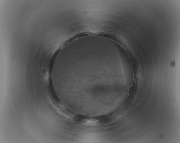 X0000112910500200909071538