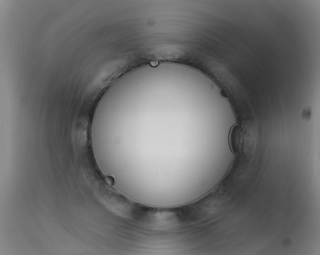 X0000112910501200909071538