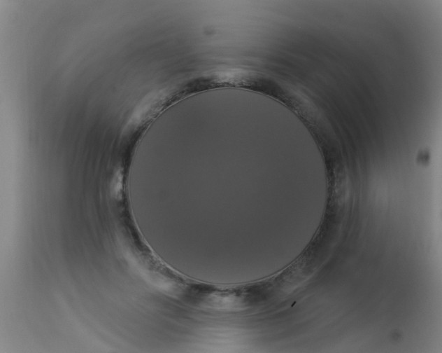 X0000112910502200909071538