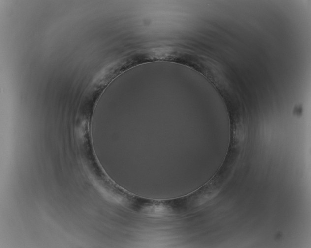 X0000112910503200909071538