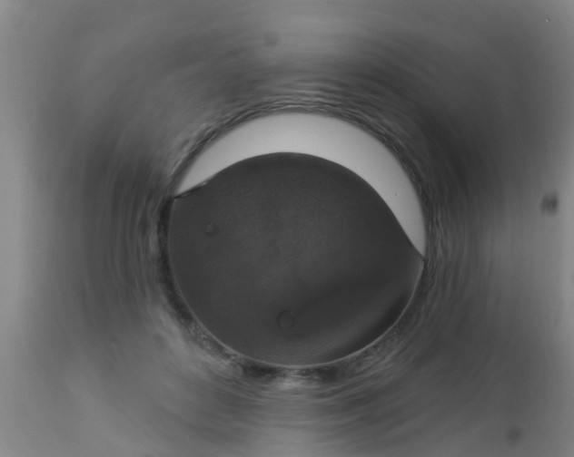 X0000112910504200909071538