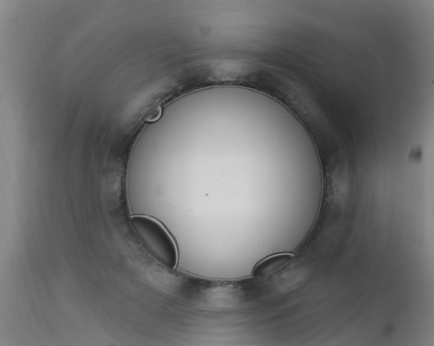 X0000112910505200909071538