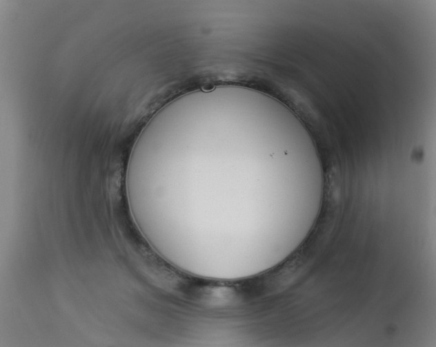 X0000112910509200909071538