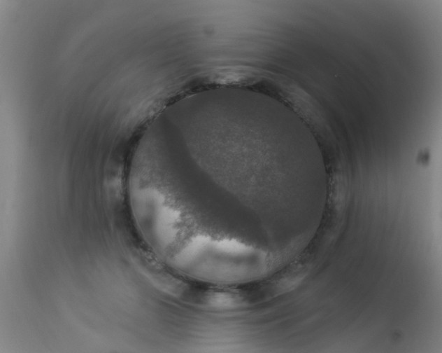 X0000112910510200909071538