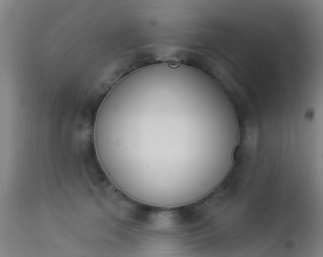 X0000112910513200909071538