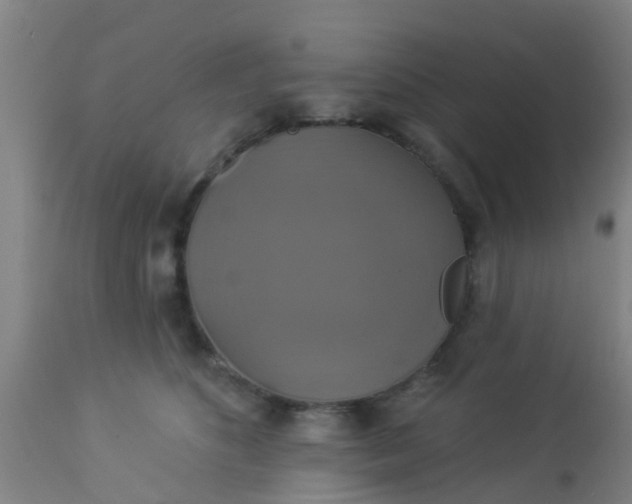 X0000112910516200909071538