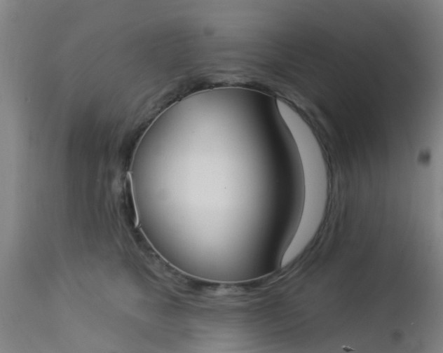 X0000112910517200909071538