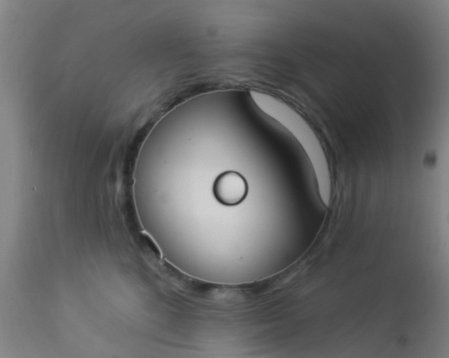 X0000112910520200909071538