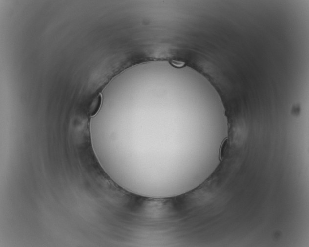 X0000112910521200909071538