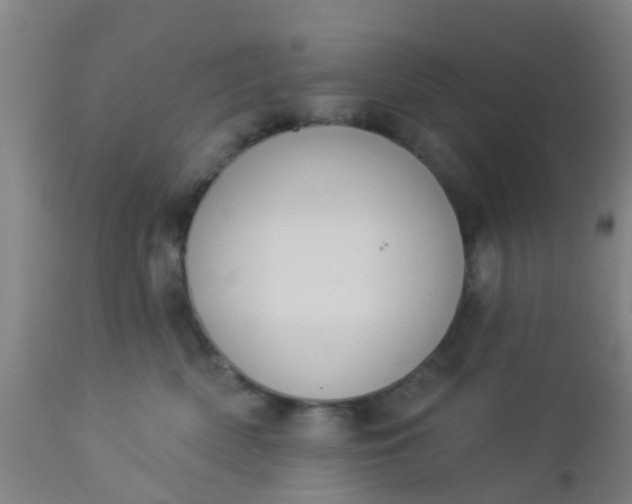 X0000112910522200909071537