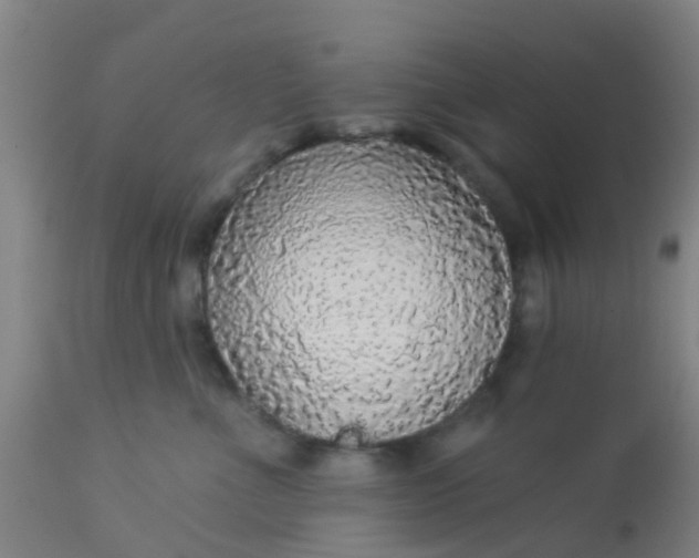 X0000112910523200909071537