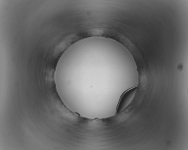 X0000112910525200909071537