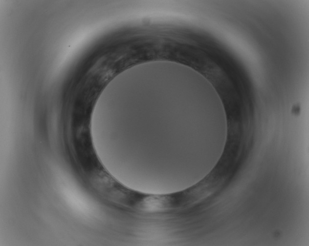 X0000112910526200909071537