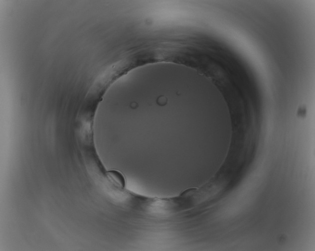 X0000112910527200909071537