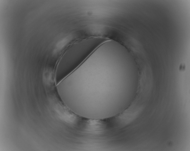 X0000112910528200909071537