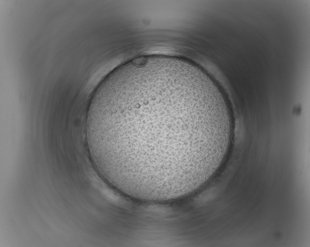 X0000112910529200909071537