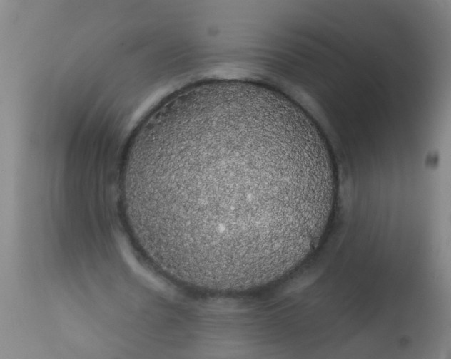 X0000112910530200909071537