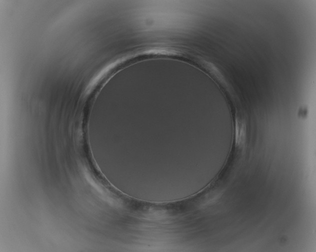 X0000112910531200909071537