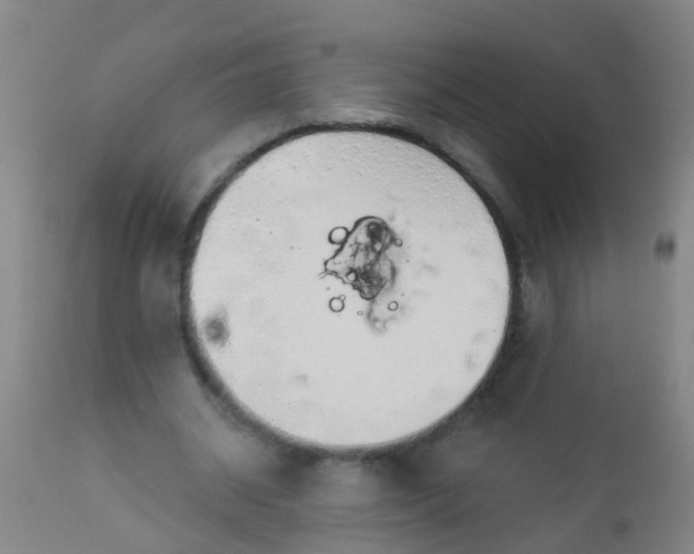 X0000112910534200909071537