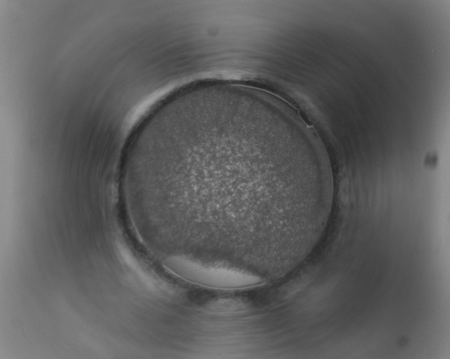 X0000112910536200909071537