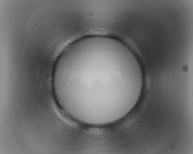 X0000112910538200909071537