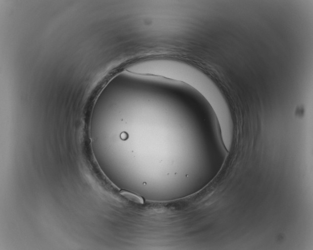 X0000112910540200909071537