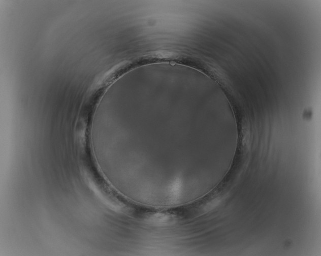 X0000112910542200909071537