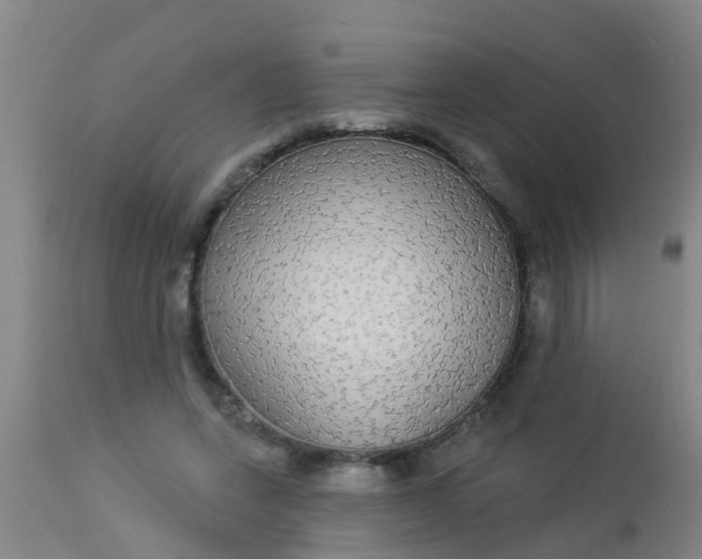 X0000112910543200909071537