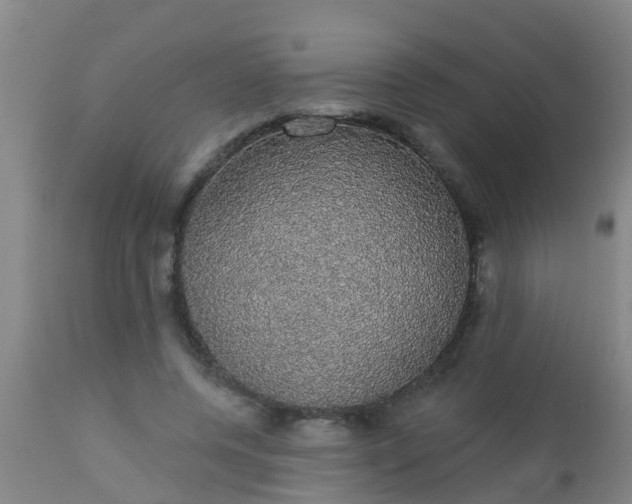 X0000112910544200909071537