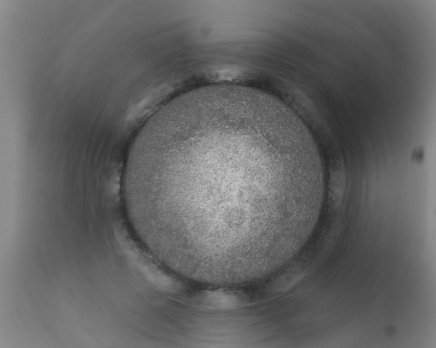 X0000112910545200909071537