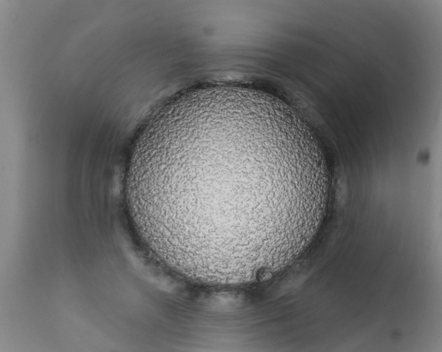 X0000112910546200909071537