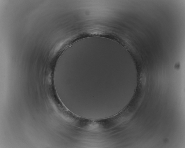 X0000112910547200909071537