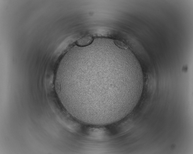 X0000112910548200909071537