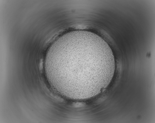 X0000112910549200909071537