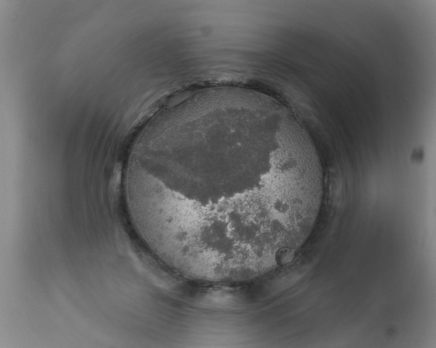 X0000112910550200909071537