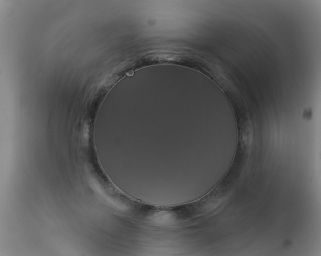 X0000112910551200909071537