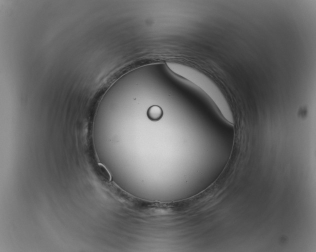 X0000112910552200909071537