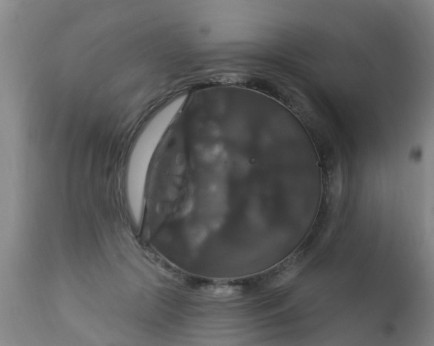 X0000112910553200909071537