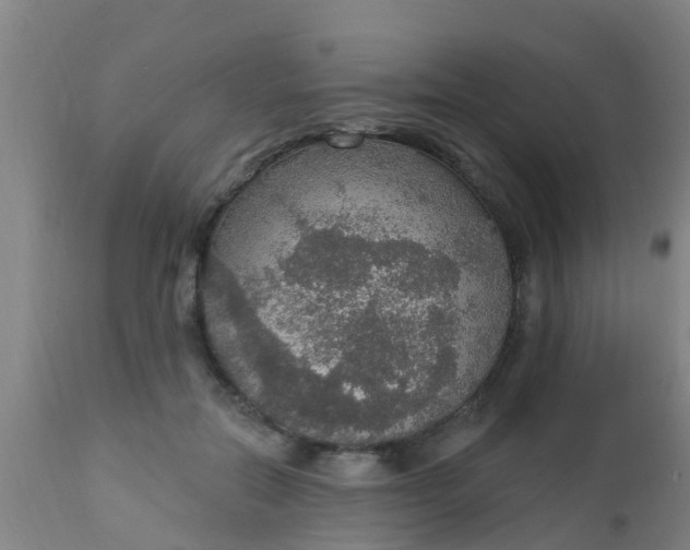 X0000112910554200909071537