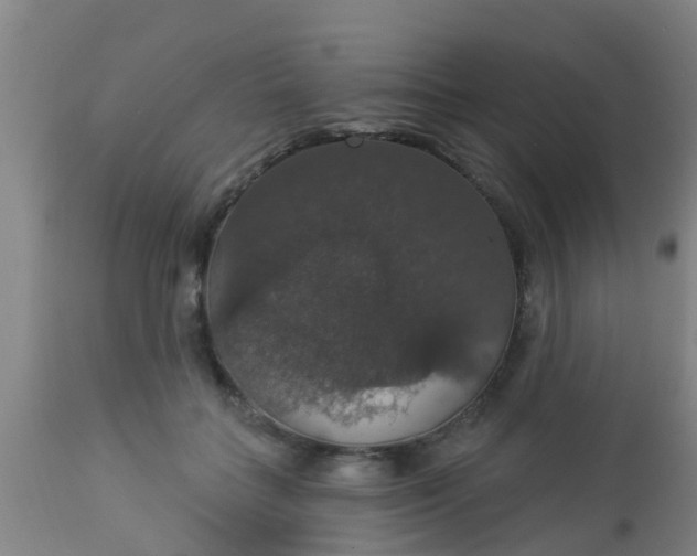 X0000112910555200909071537