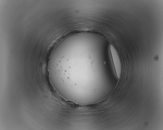 X0000112910556200909071537