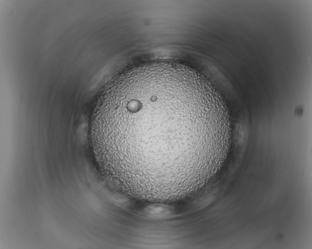 X0000112910557200909071537